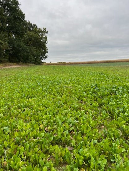 Boss Brew™ Food Plot Seed