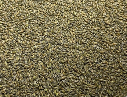 RC Big Rock Switchgrass Food Plot Seed