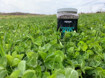 Comeback Kid™ Food Plot Seed