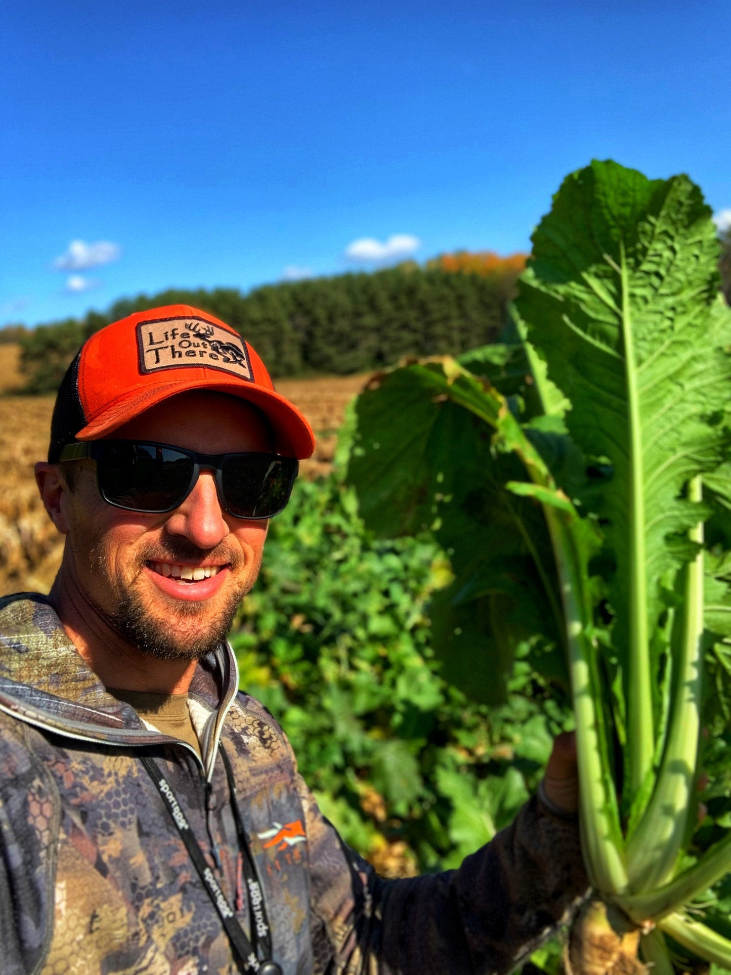 Bombshell™ Food Plot Seed