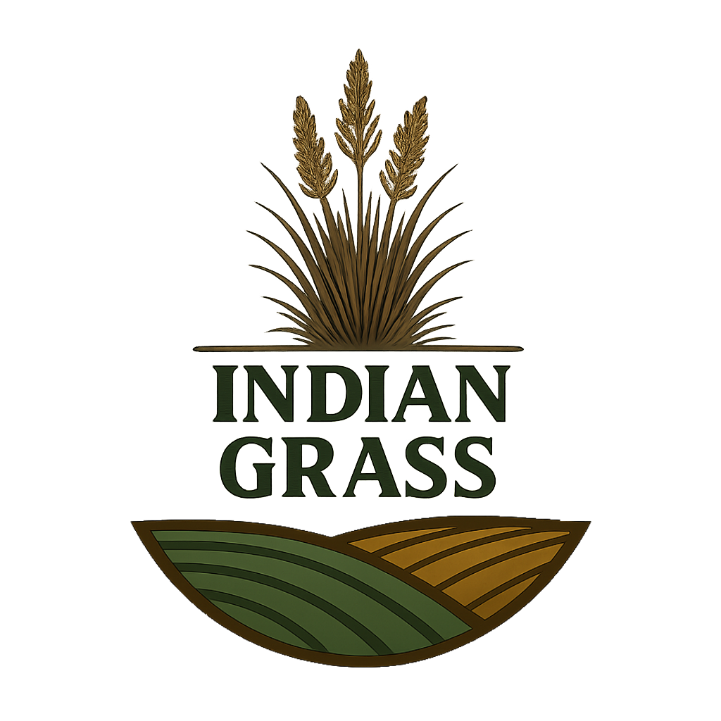 Indiangrass Habitat Seed