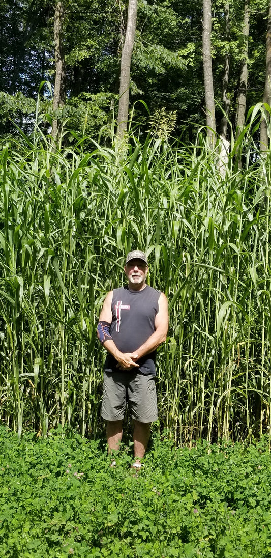 Incognito™ Food Plot Seed