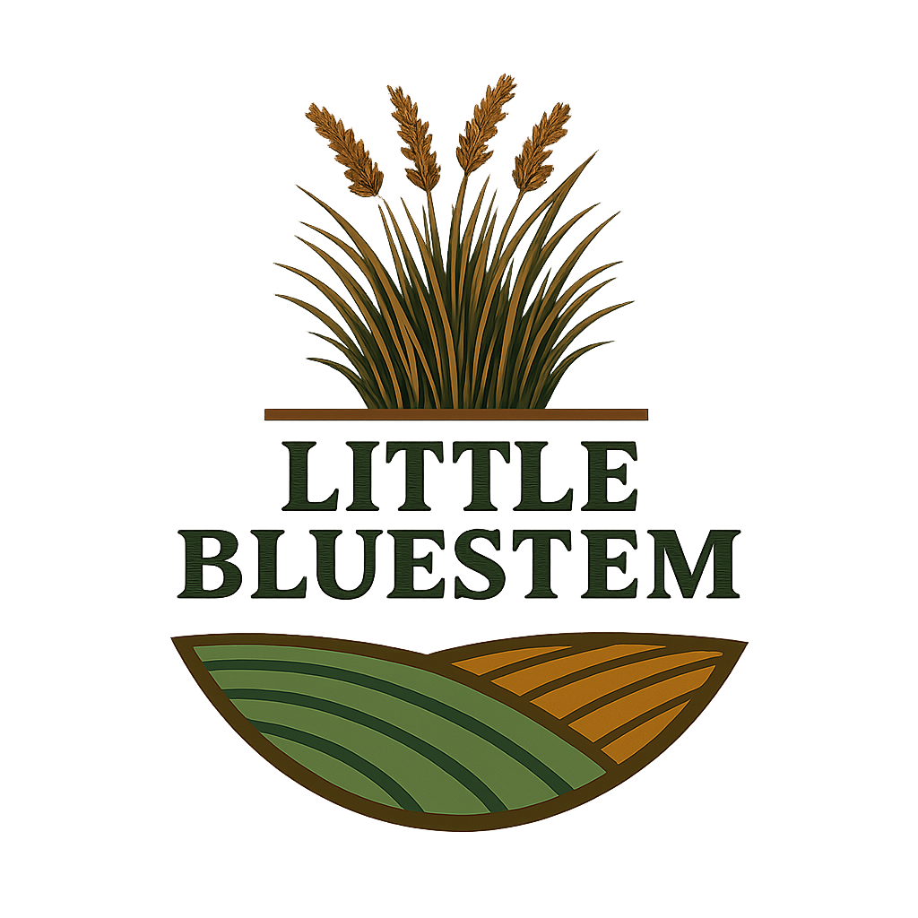 Little Bluestem Habitat Seed