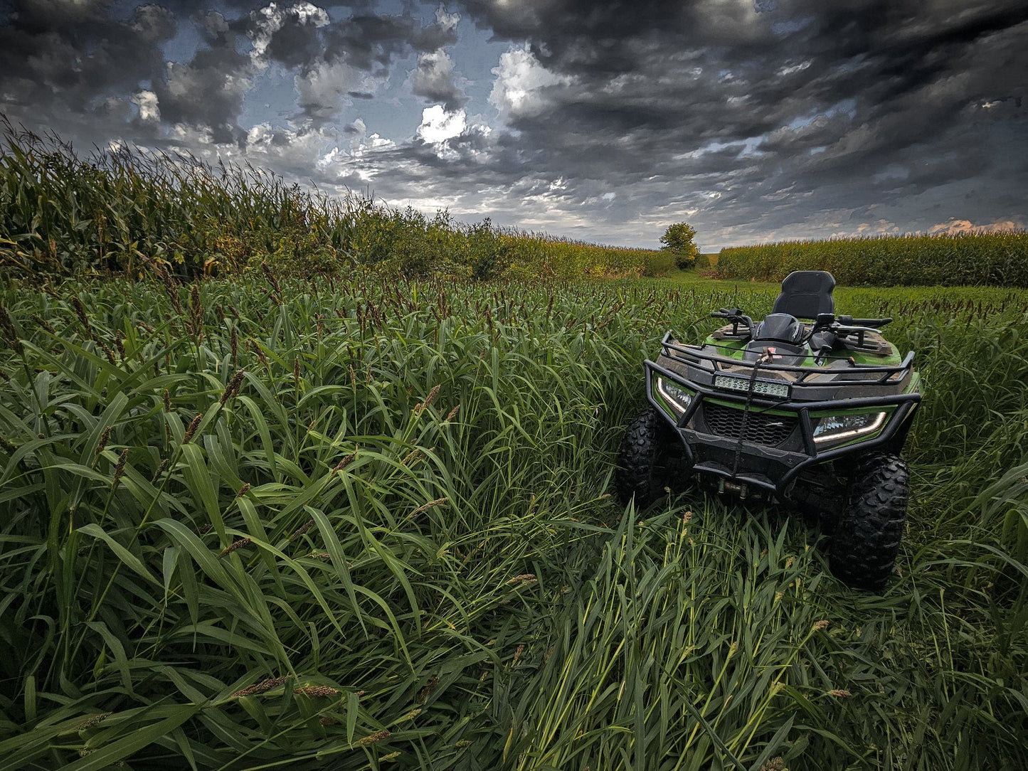Landing Strip™ Food Plot Seed