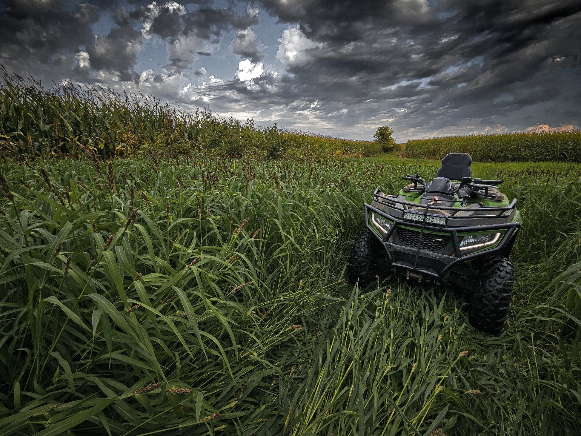 Landing Strip™ Food Plot Seed