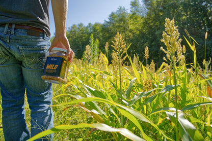 Milo Food Plot Seed