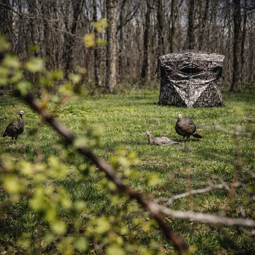 Muddy Infinity 2-Man ground hunting blind set up in wooded environment