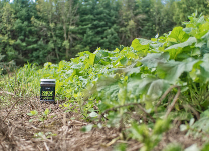 Show Stopper™ Food Plot Seed