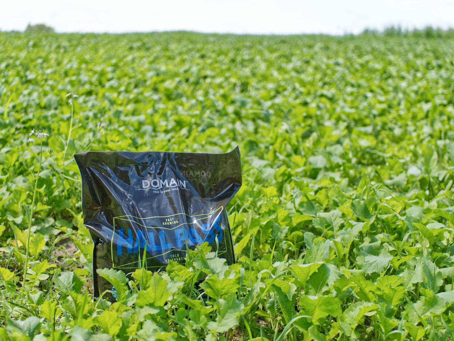 Hall Pass™ Food Plot Seed