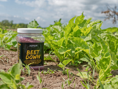 Beet Down™ Food Plot Seed