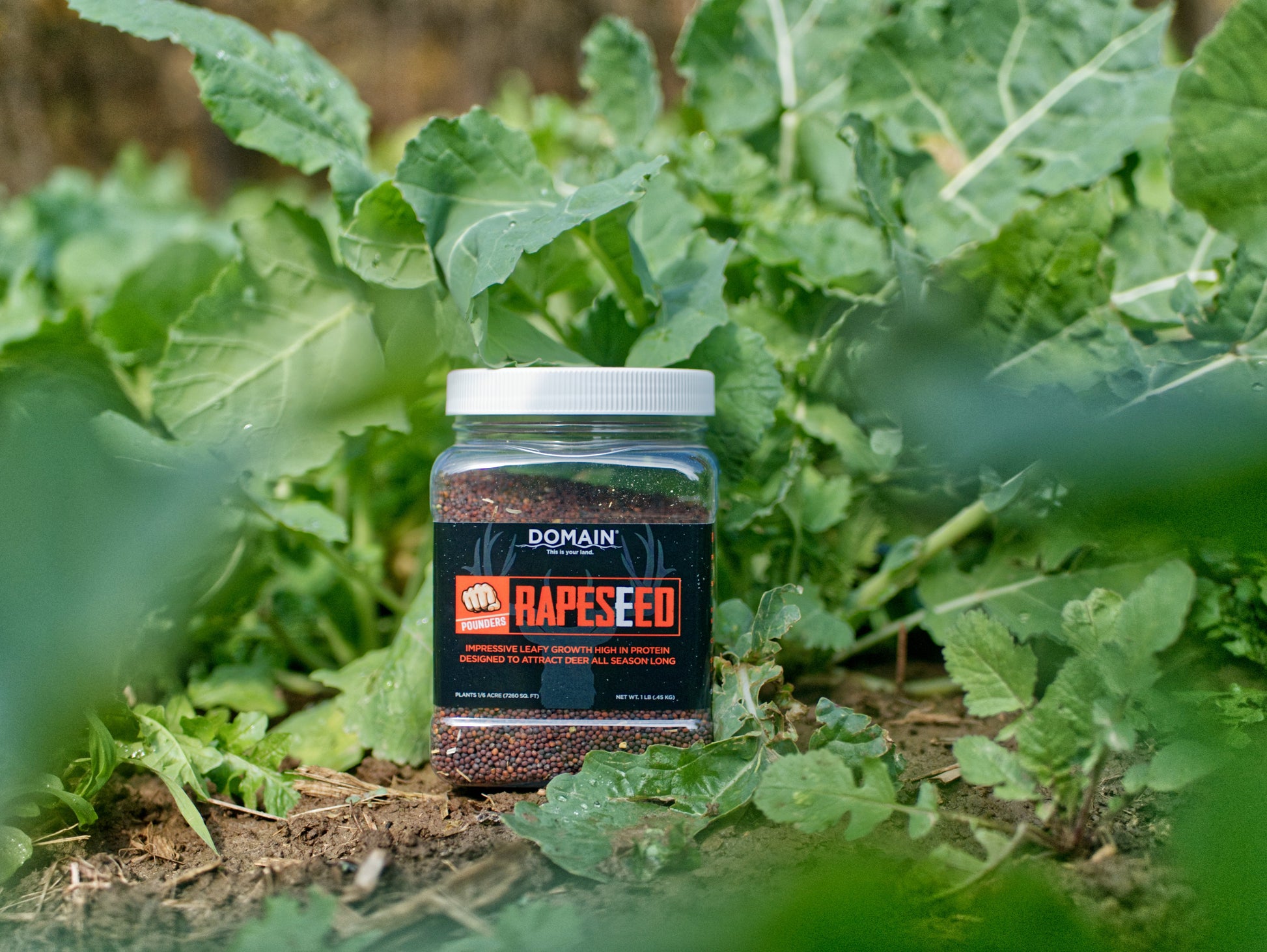 Domain Pounder – Rapeseed Food Plot Seed