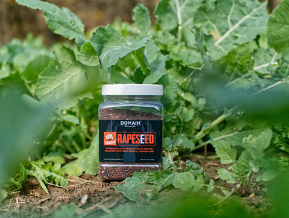 Domain Pounder – Rapeseed Food Plot Seed