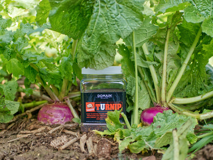 Domain Pounder – Turnip Food Plot Seed