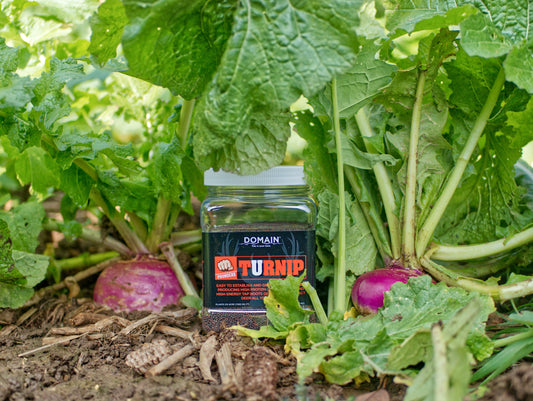 Domain Pounder – Turnip Food Plot Seed