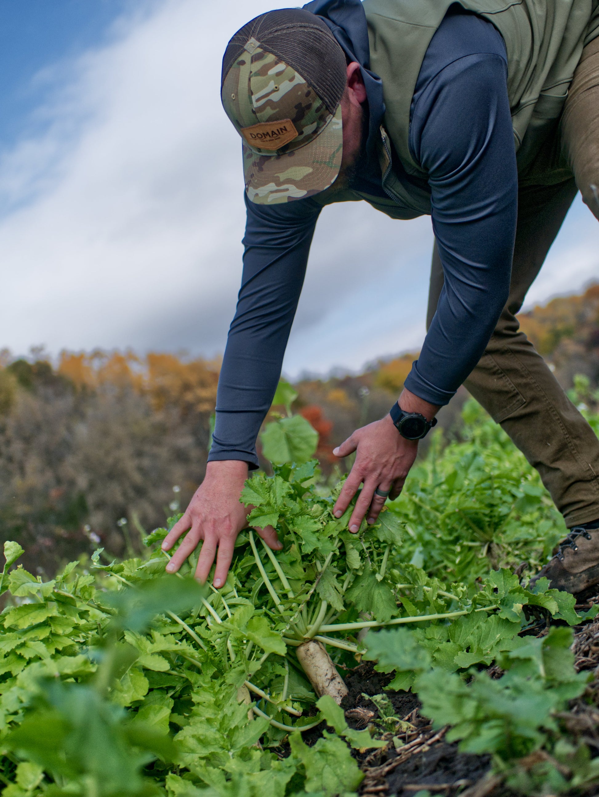 Illicit™ Food Plot Seed