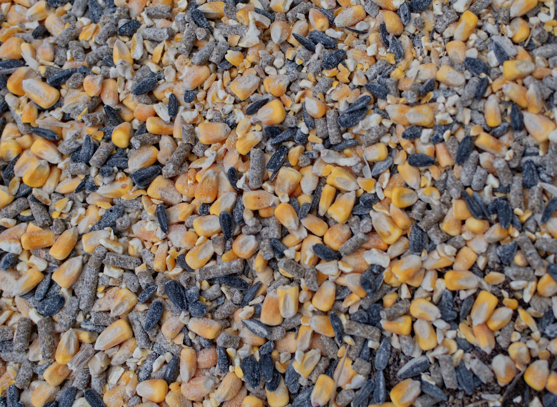 Pre-Game™ Deer Feed