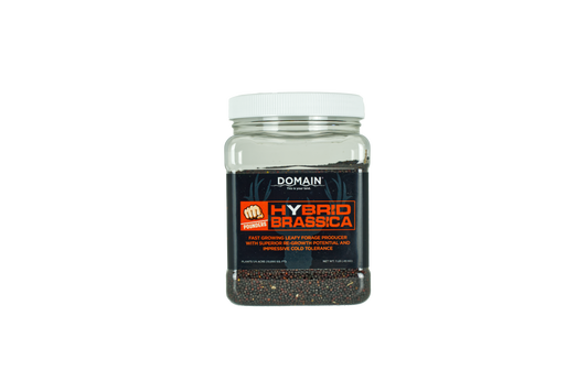 Domain Pounder – Hybrid Brassica Food Plot Seed