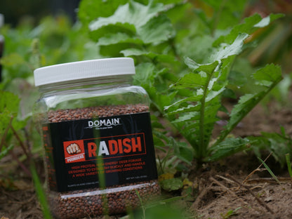 Domain Pounder – Radish Food Plot Seed