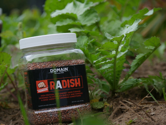 Domain Pounder – Radish Food Plot Seed