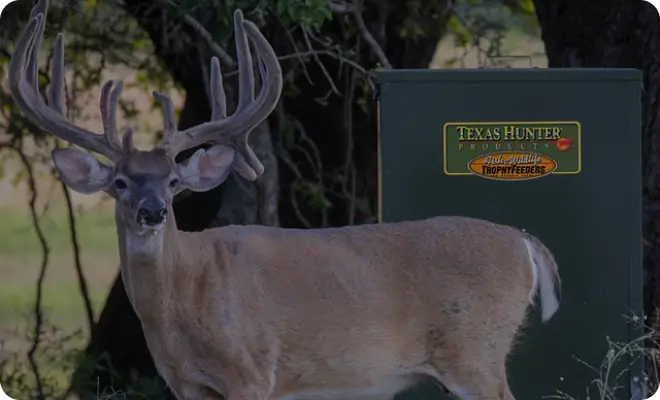 Deer standing next to a green book with 'Texas Hunter' logo in a forest setting