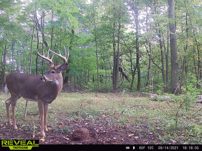 Stockpile™ Deer Block