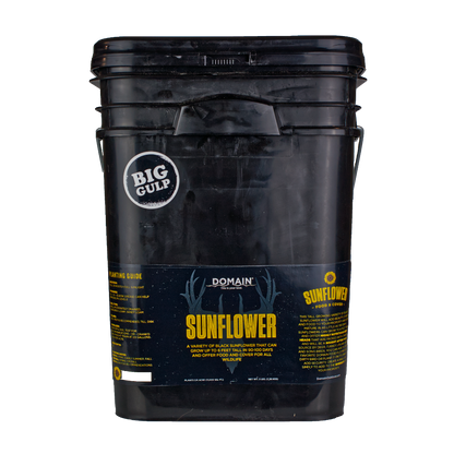 Sunflower Food Plot Seed