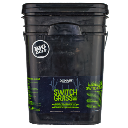 RC Big Rock Switchgrass Food Plot Seed