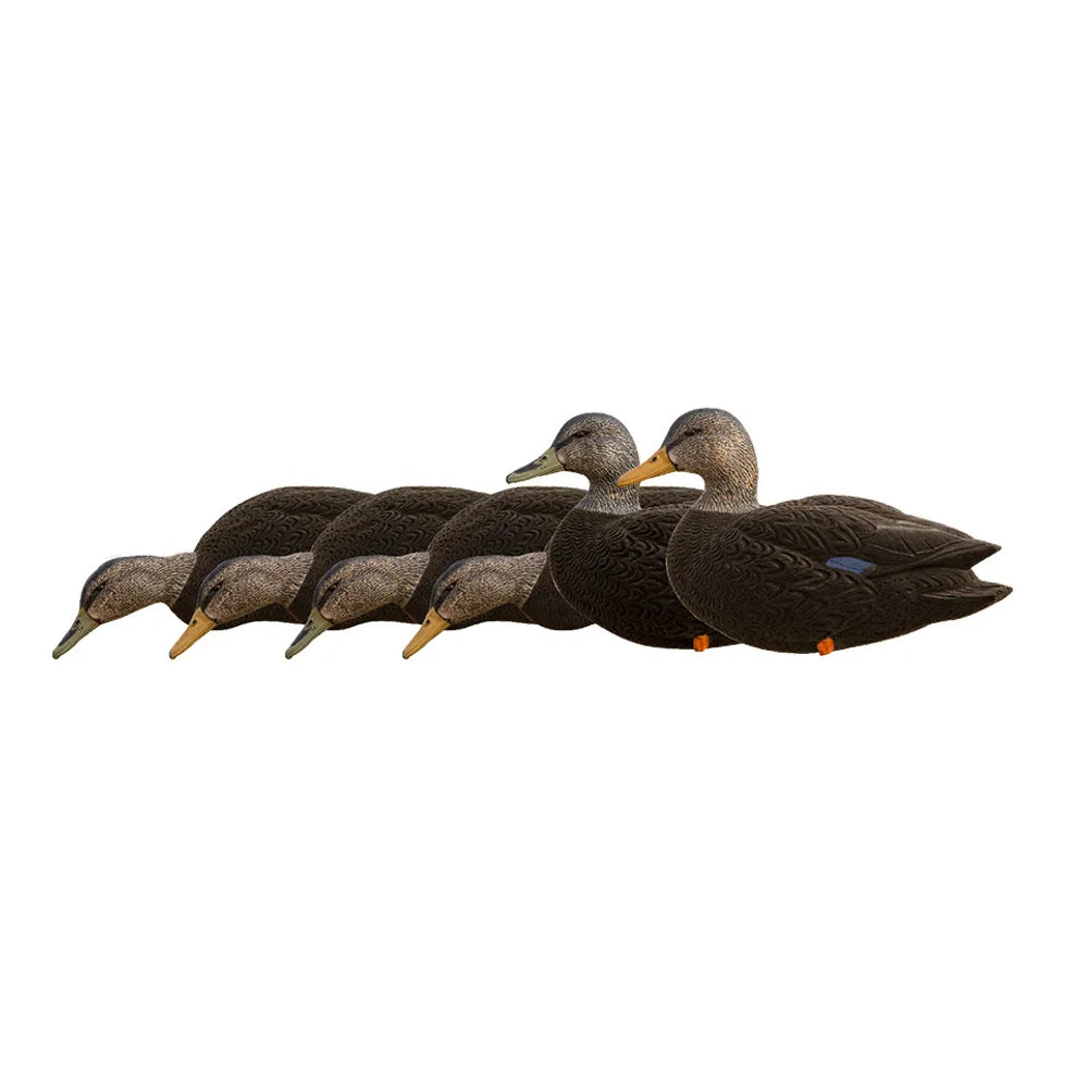 Avian-X AXF Black Ducks Fusion Pack, full six-decoy flock side view on white background