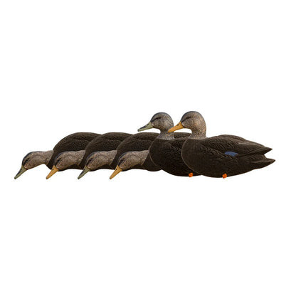 Avian-X AXF Black Ducks Fusion Pack, full six-decoy flock side view on white background