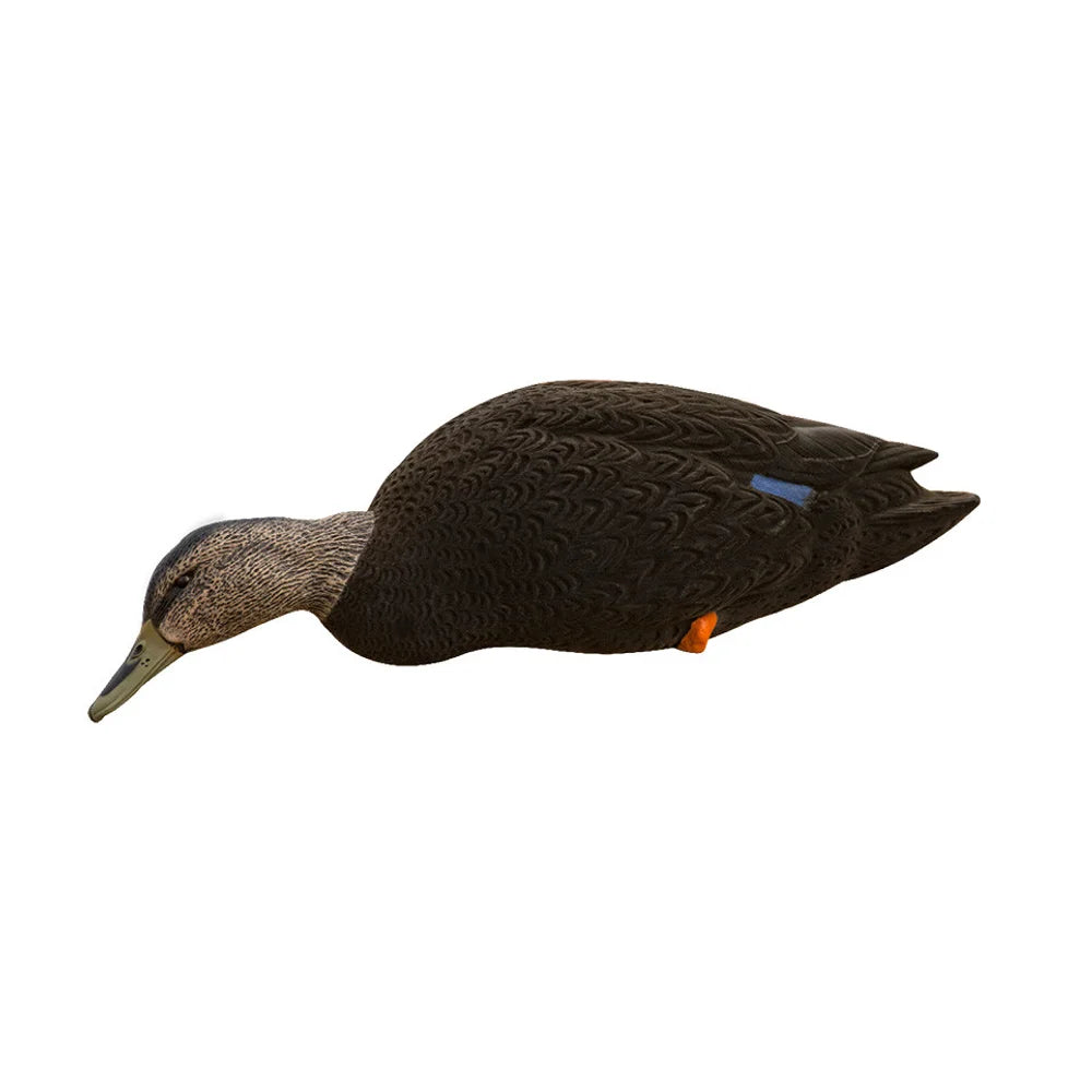 Avian-X AXF Black Duck feeder-pose decoy, single side profile view on white
