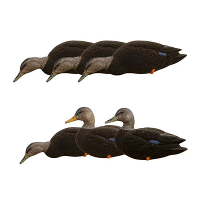 Avian-X AXF Black Ducks Fusion Pack showing all six floating decoys arranged in two rows on white