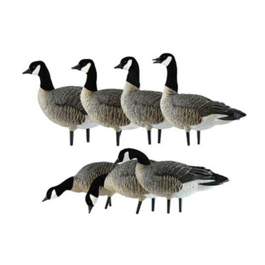 Avian-X AXF Lessers Outfitter Pack showing full group of 12 Canada goose decoys on white background