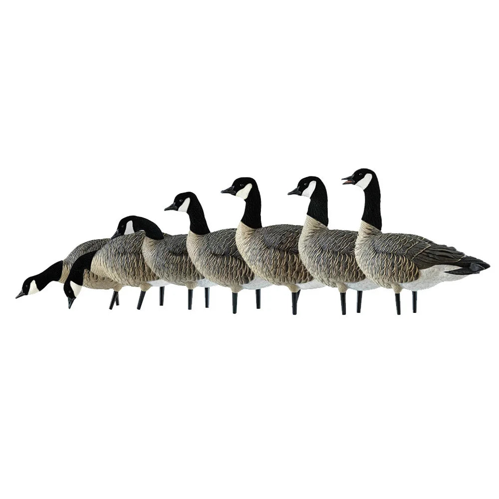 Avian-X AXF Lessers Outfitter Pack decoys lined up in side profile showing varied head poses