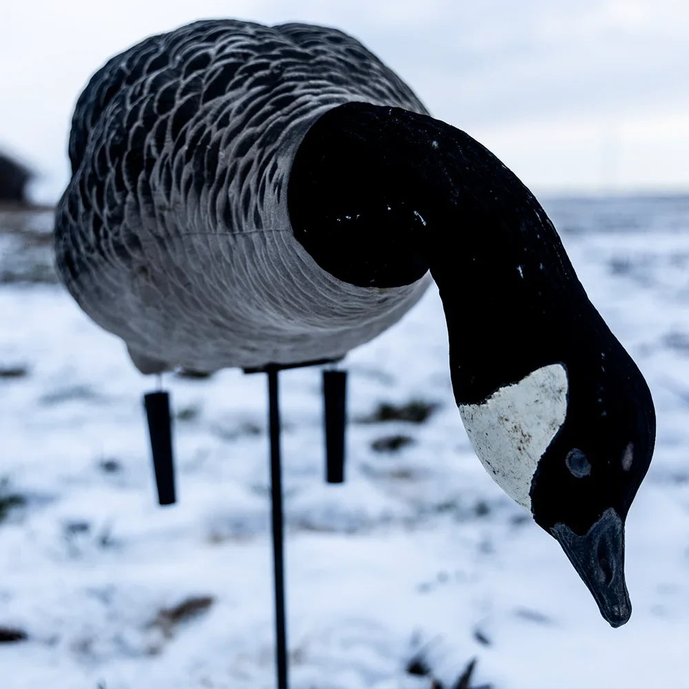 Avian-X AXF Lessers feeder decoy close-up showing detailed head and bill in snowy field