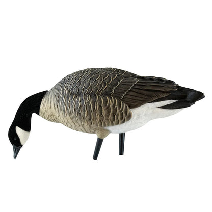 Avian-X AXF Lessers single low-head feeder Canada goose decoy side view on white background