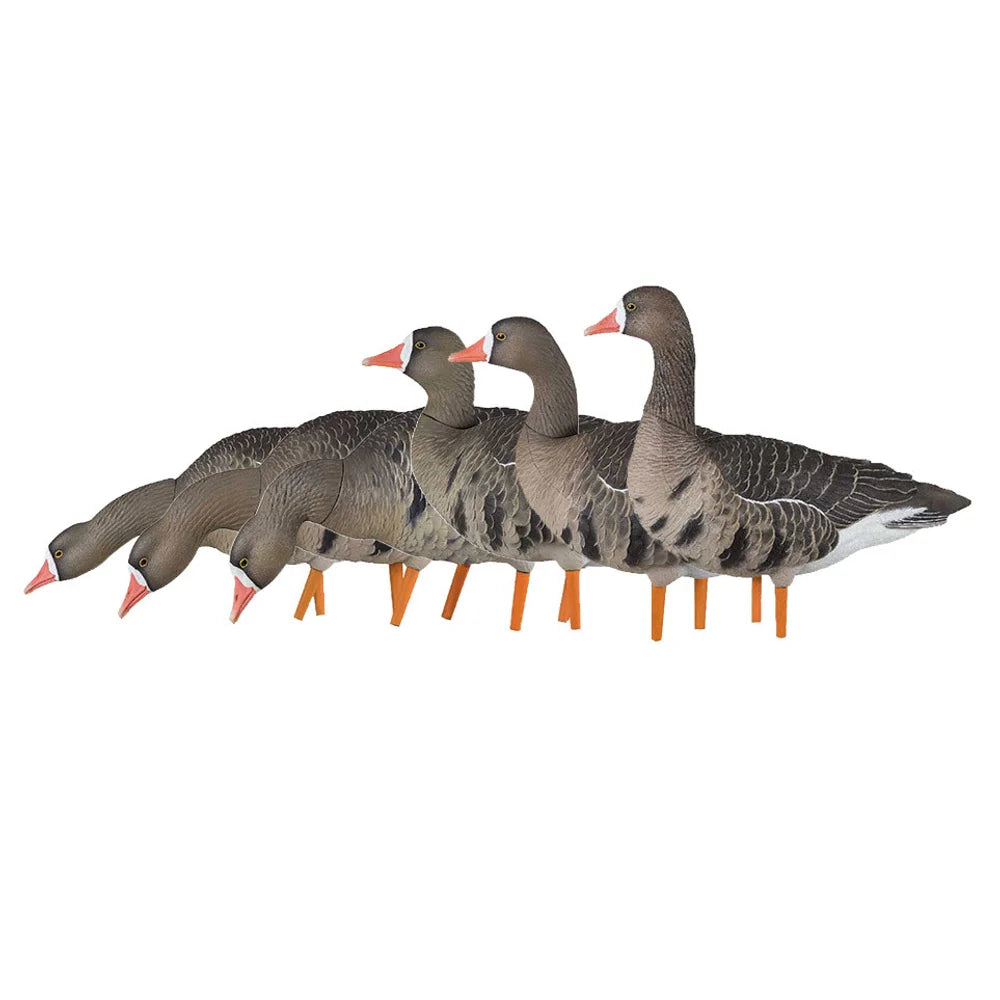 Avian-X AXF Specklebelly Fusion Pack 6-decoy flock grouped together in side view
