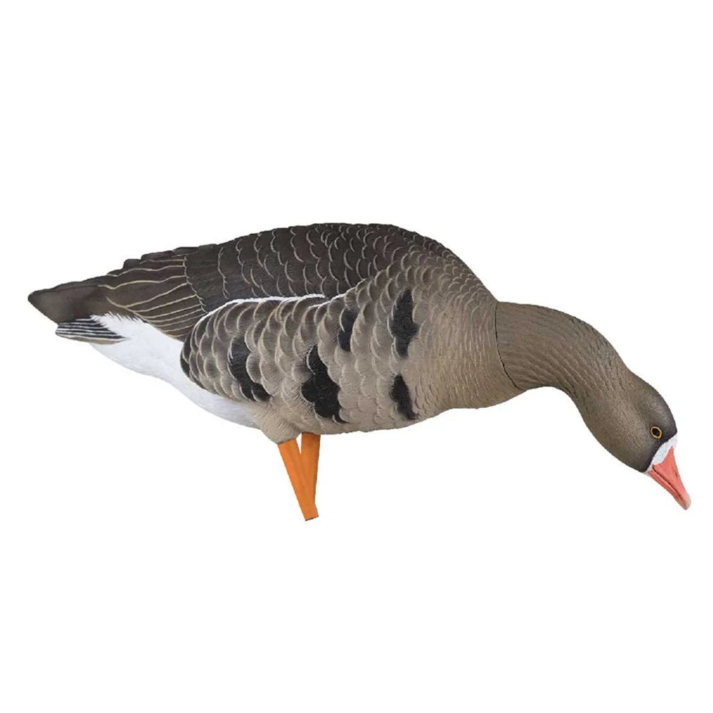 Avian-X AXF Specklebelly feeder pose goose decoy alternate side angle close-up