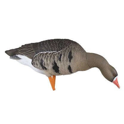 Avian-X AXF Specklebelly feeder pose goose decoy alternate side angle close-up