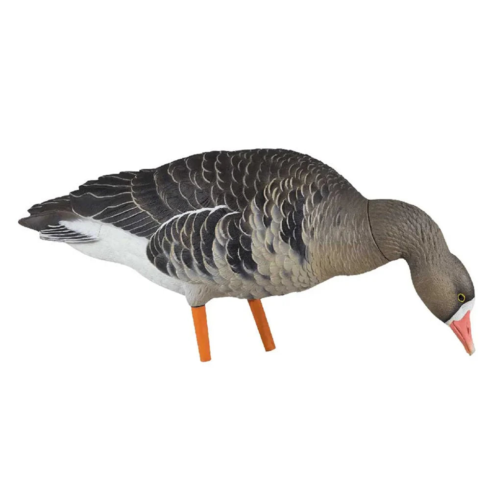 Avian-X AXF Specklebelly feeder head-down pose goose decoy in side profile
