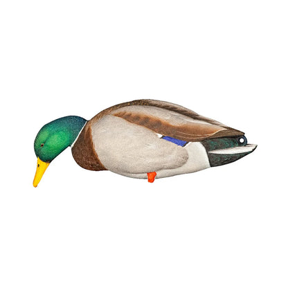 Avian-X AXP Full Body Mallard feeder drake decoy side profile on white background