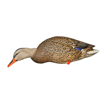 Avian-X AXP Full Body Mallard feeder hen decoy side profile on white background