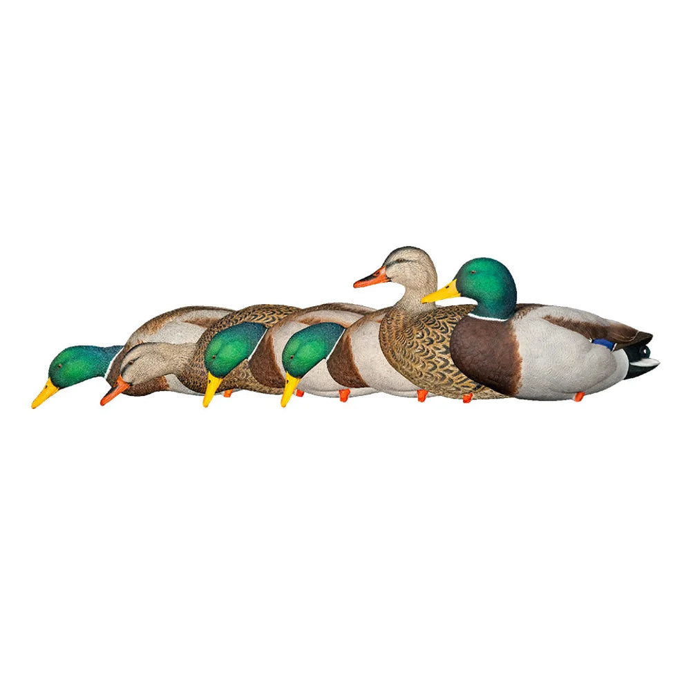 Avian-X AXP Full Body Mallards Fusion Pack six-decoy side profile lineup on white
