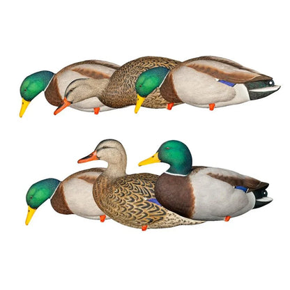 Avian-X AXP Full Body Mallards Fusion Pack showing all six decoys in drake and hen poses