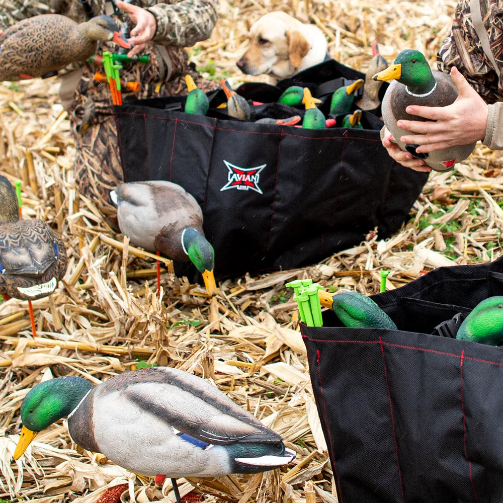 Avian-X AXP Full Body Mallard decoys with Avian-X slot bag, hunter and dog in field