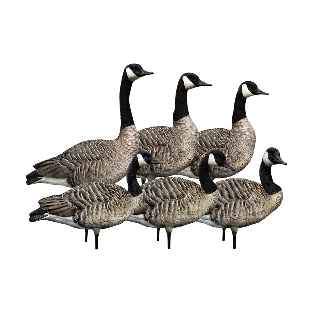 Waterfowl Decoys