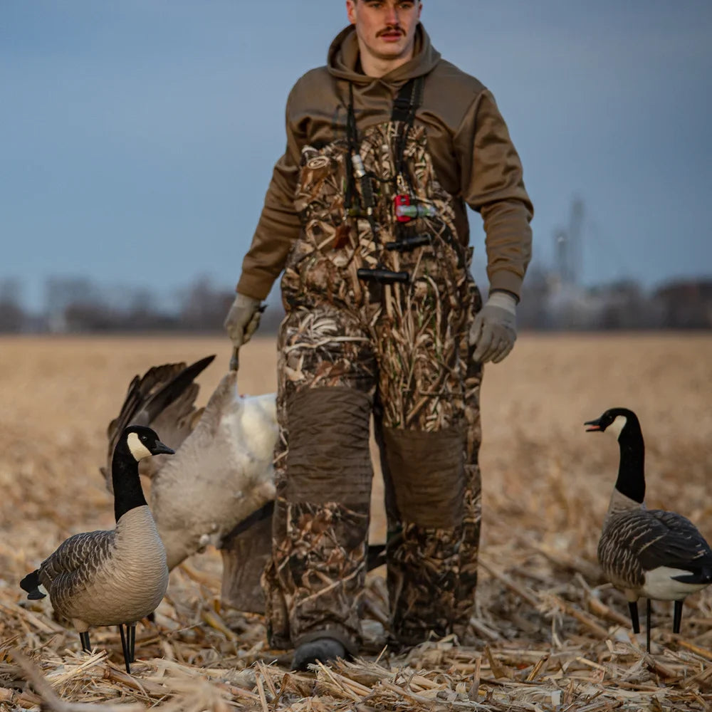 Hunter in camo waders placing Avian-X AXP Honkers Feeder Pack decoys in harvested cornfield