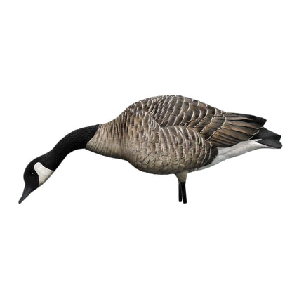 Avian-X AXP Honkers Feeder Pack single feeder-pose Canada goose decoy side profile on white