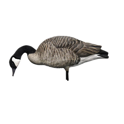 Avian-X AXP Honkers feeder posture Canada goose decoy with head down, facing left