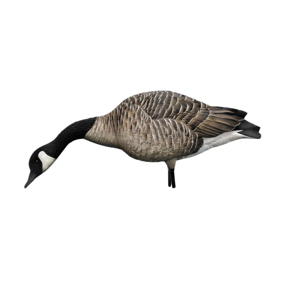 Avian-X AXP Honkers feeder Canada goose decoy with stretched low neck facing left