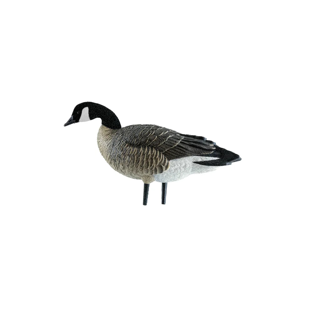 Avian-X AXP Lessers Active Pack single feeder Canada goose decoy side profile on white background
